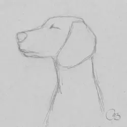 Dog Sketch Drawing
