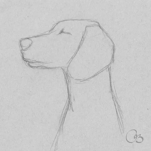 Dog Sketch Drawing