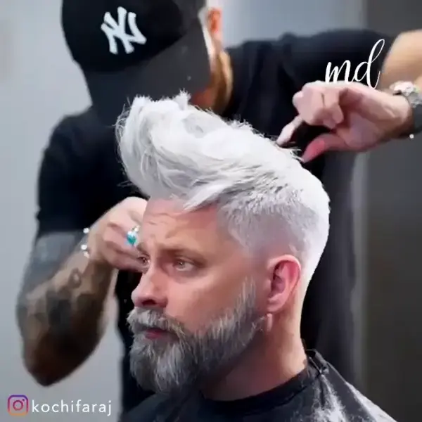 SILVER FOX TRANSFORMATION 