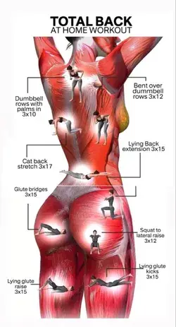 Iliopsoas Muscle Self Help Trigger Point Treatment