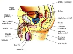 www.blogdebiologia.com