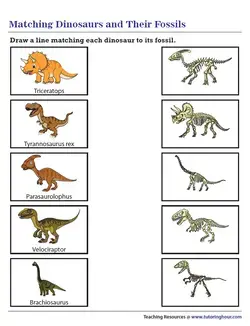 Dinosaur Worksheets