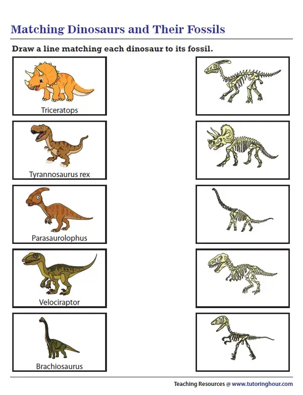 Dinosaur Worksheets