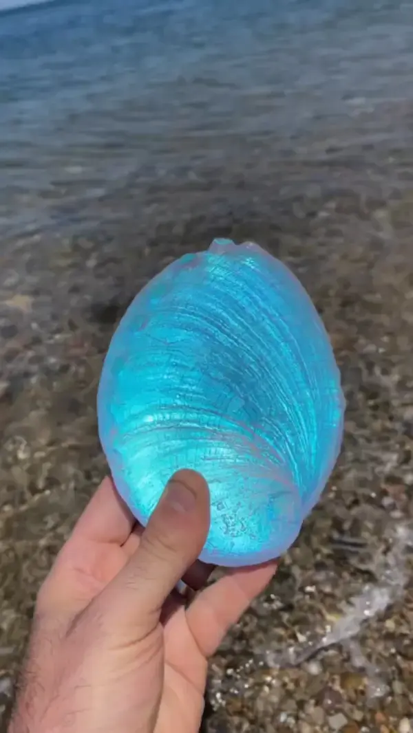 This glass Aural Abalone shell looks perfect at the beach.