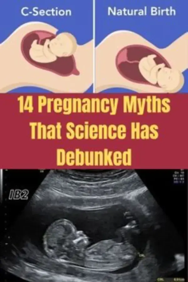 14 Pregnancy Myths That Science Has Debunked