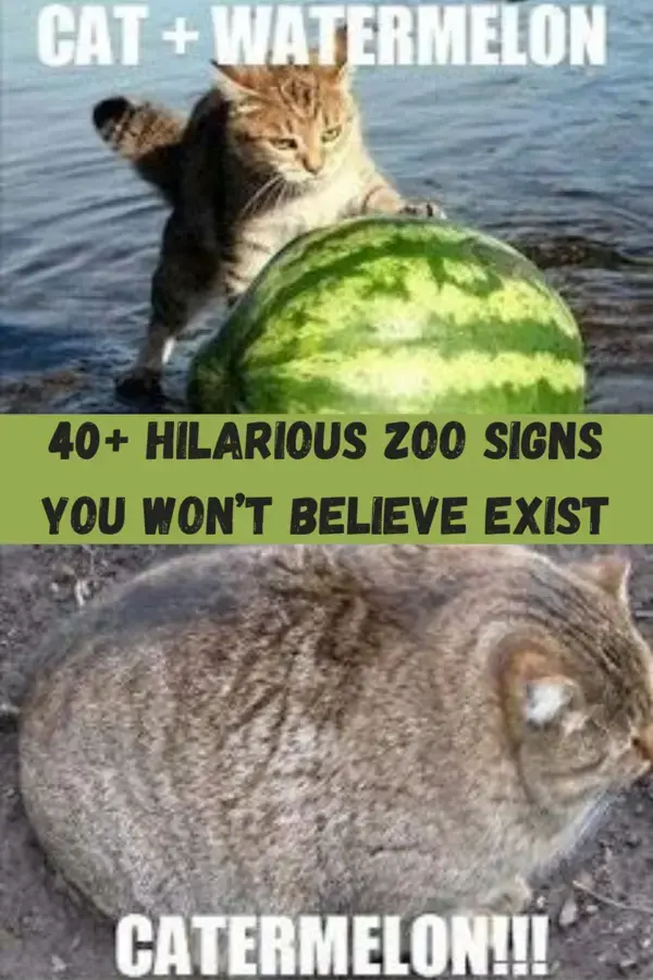 40+ Hilarious Zoo Signs You Won’t Believe Exist