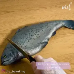 REALISTIC CAKES