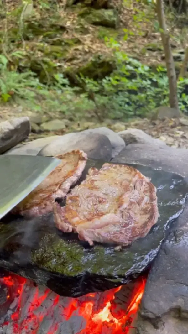 Feast for Our Friend on the Stone 🥩🐕