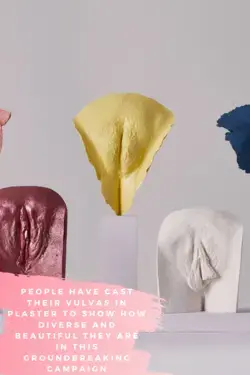 People have cast their vulvas in plaster to show how diverse and beautiful they are