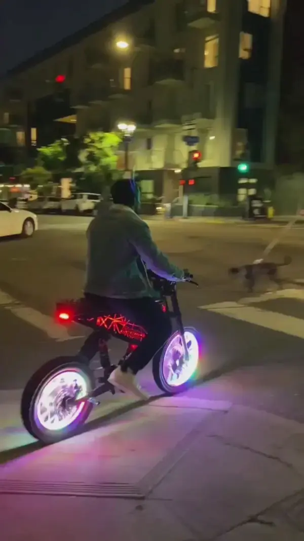This is the most fun eBike we've ever seen.