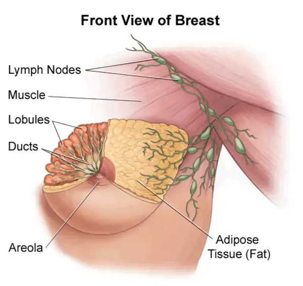 www.hopkinsmedicine.org