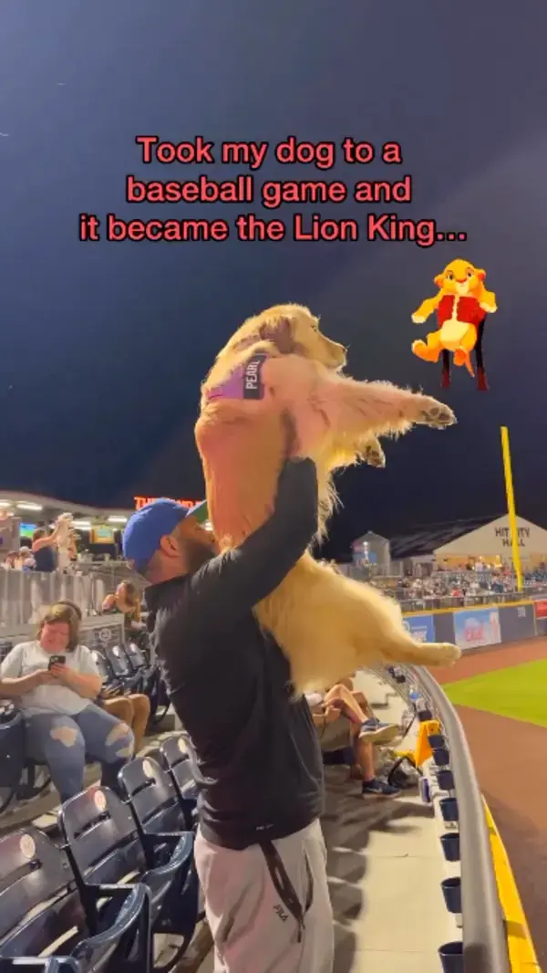 channeling her inner Simba 🦁 ⚾️🐾