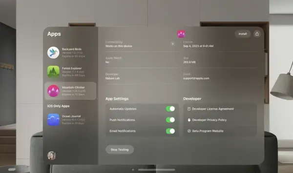 APPLE VR/AR INTERFACE