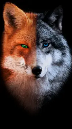 Wolf &amp; Fox Duality - Apps on Galaxy Store