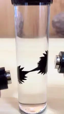 Liquid magnet - Science experiment