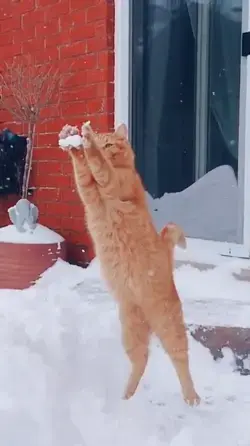 He is showing off his talent