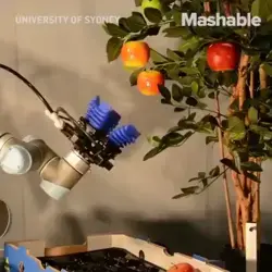 Estos #robots podrían redefinir el futuro de la #agricultura.