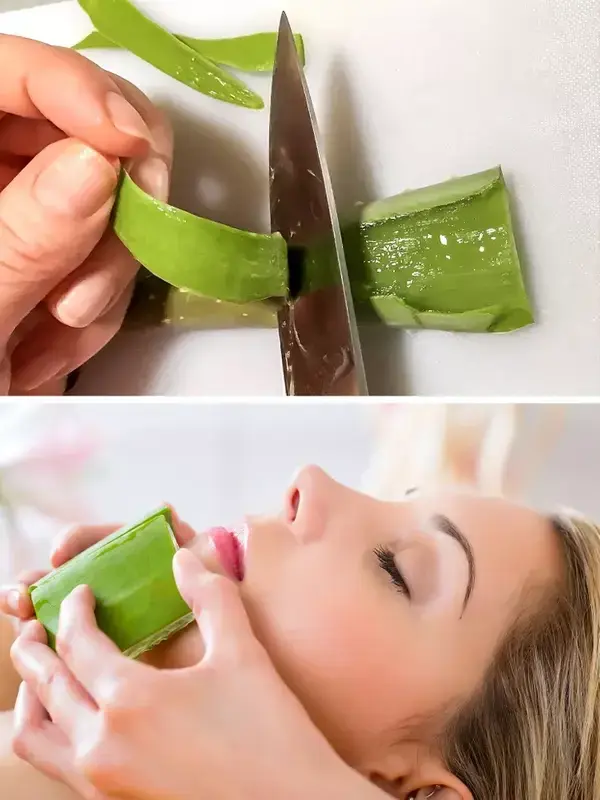 9 Aloe Vera Uses That Can Simplify Your Life